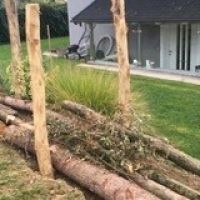 garten_elisabeth_3